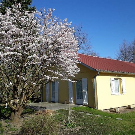 Maison De Manon Illhaeusern Zewnętrze zdjęcie