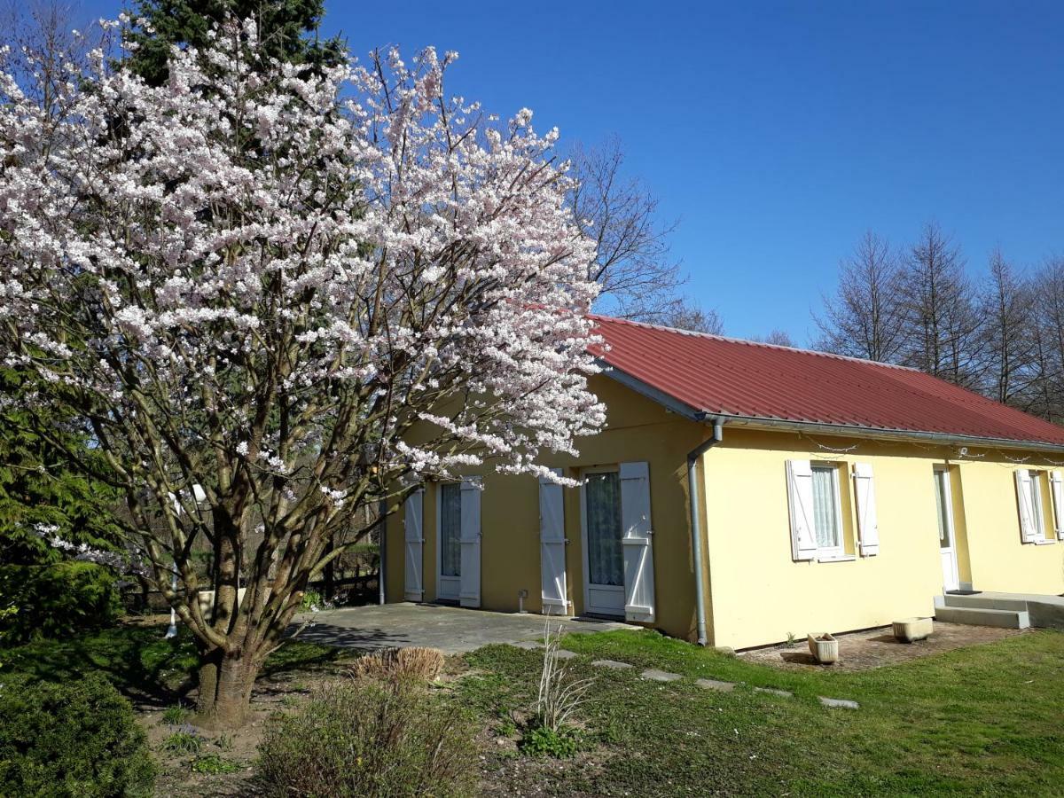 Maison De Manon Illhaeusern Zewnętrze zdjęcie